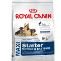 Royal Canin MAXI Starter